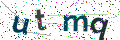 驗證碼
