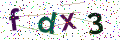 驗證碼