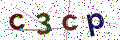 驗證碼