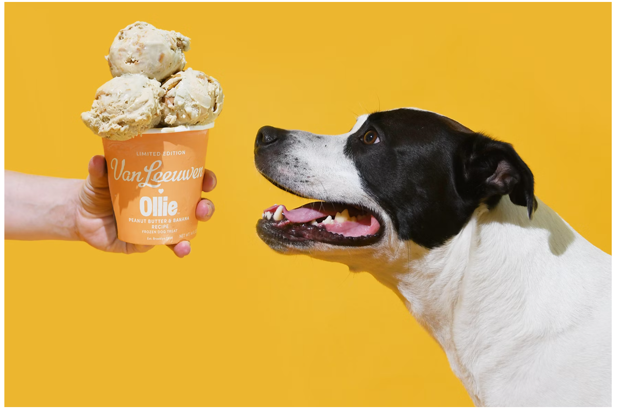 美國Ollie 和 Van Leeuwen合作推出犬用冰淇淋