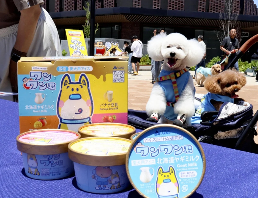 日本赤城乳業推出能預防中暑的狗用冰淇淋