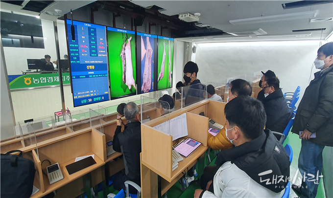 韓國推動豬隻屠體拍賣線上化