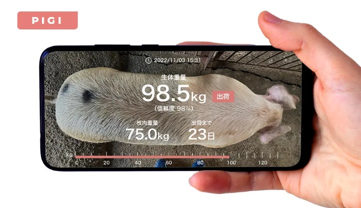 日本科技公司推出「PIGI Pro」AI相機測量豬隻體重