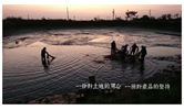 臺灣水產產業發展動向
