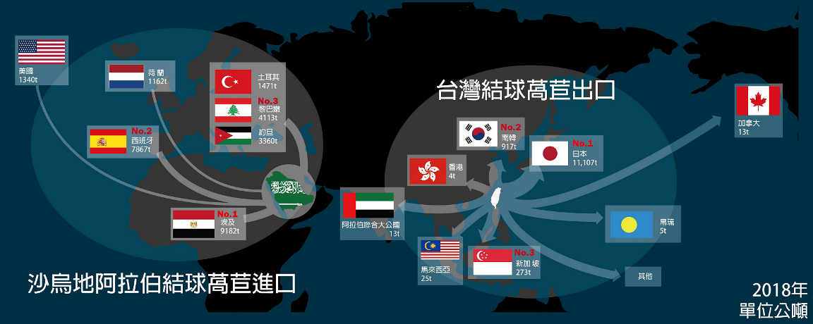 保鮮技術提升增加台灣萵苣出口對象