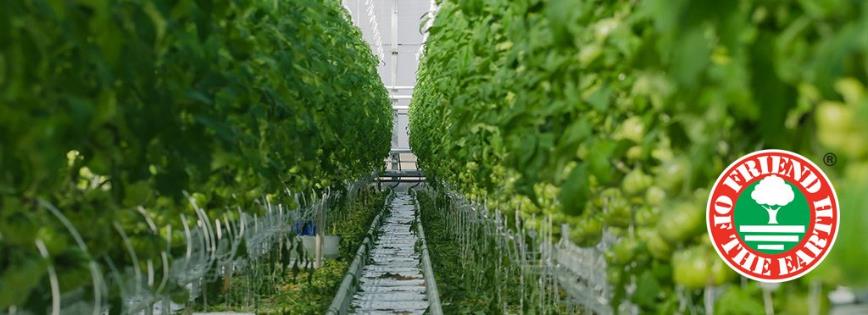 溫室水耕H2Orto番茄獲地球之友永續認證