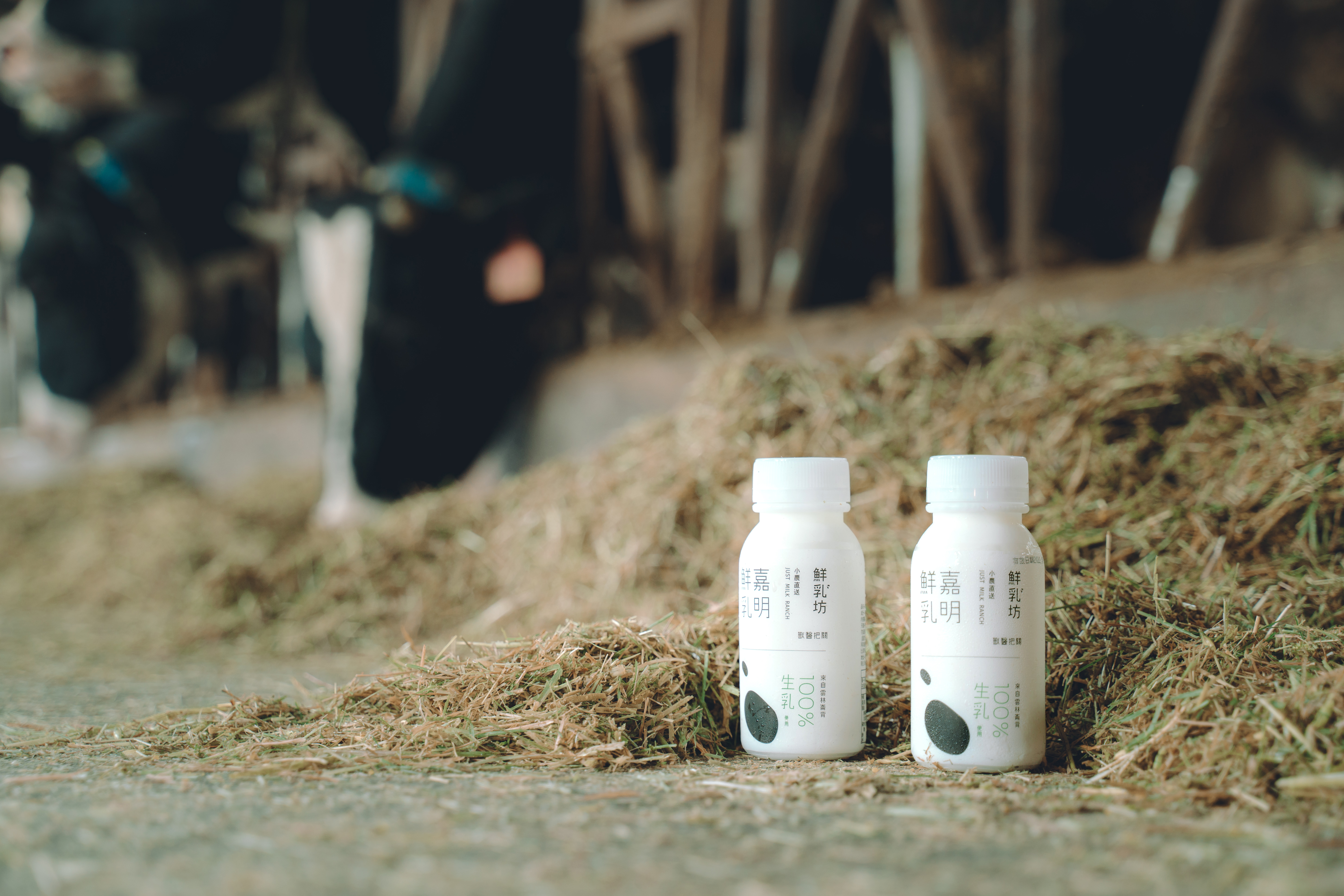 鮮乳坊嘉明鮮乳210ml