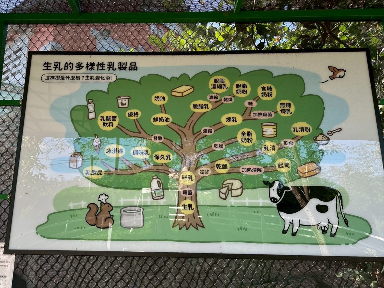 乳品開發地圖