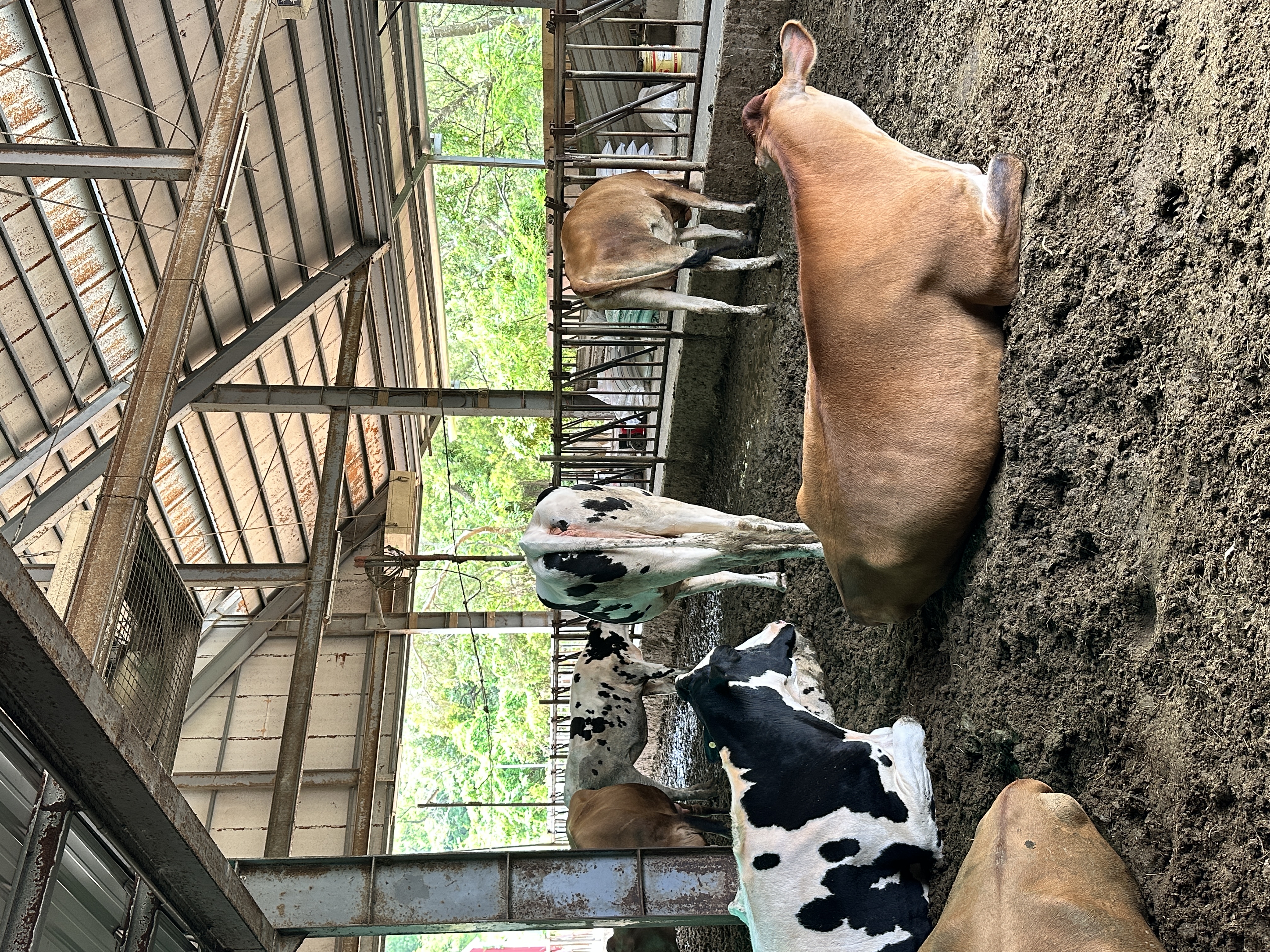 飼養環境