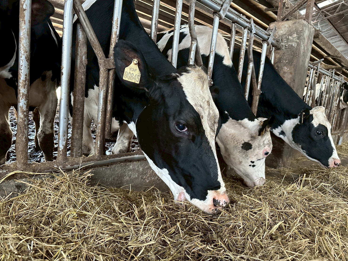 飼養環境