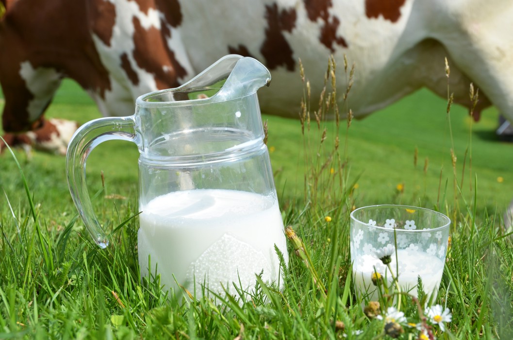 成本攀升促使日本生乳價格再漲
