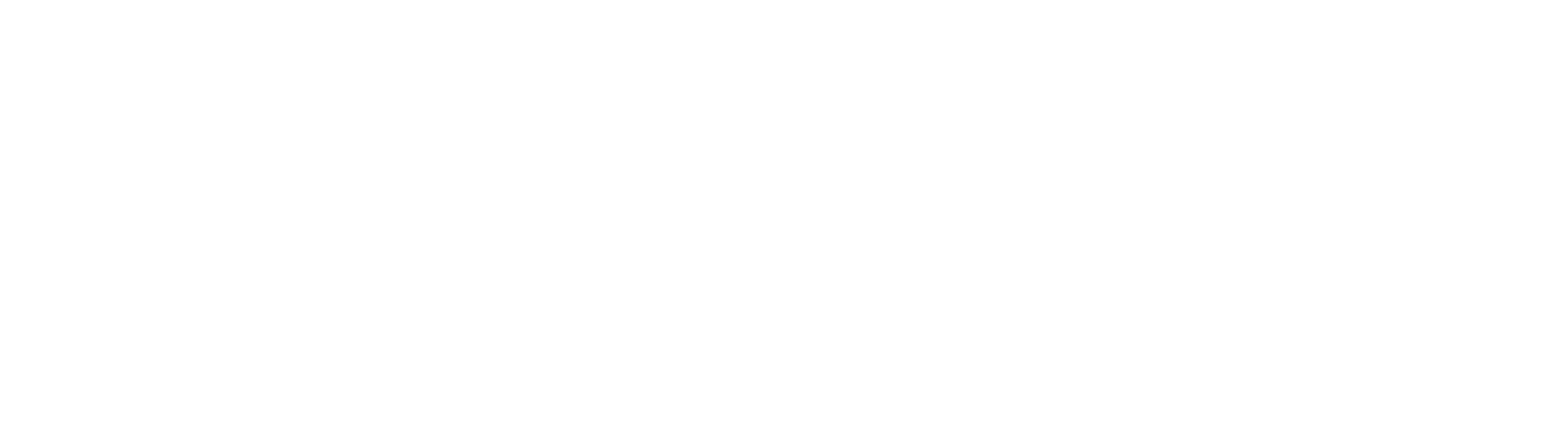 FIRDI Logo